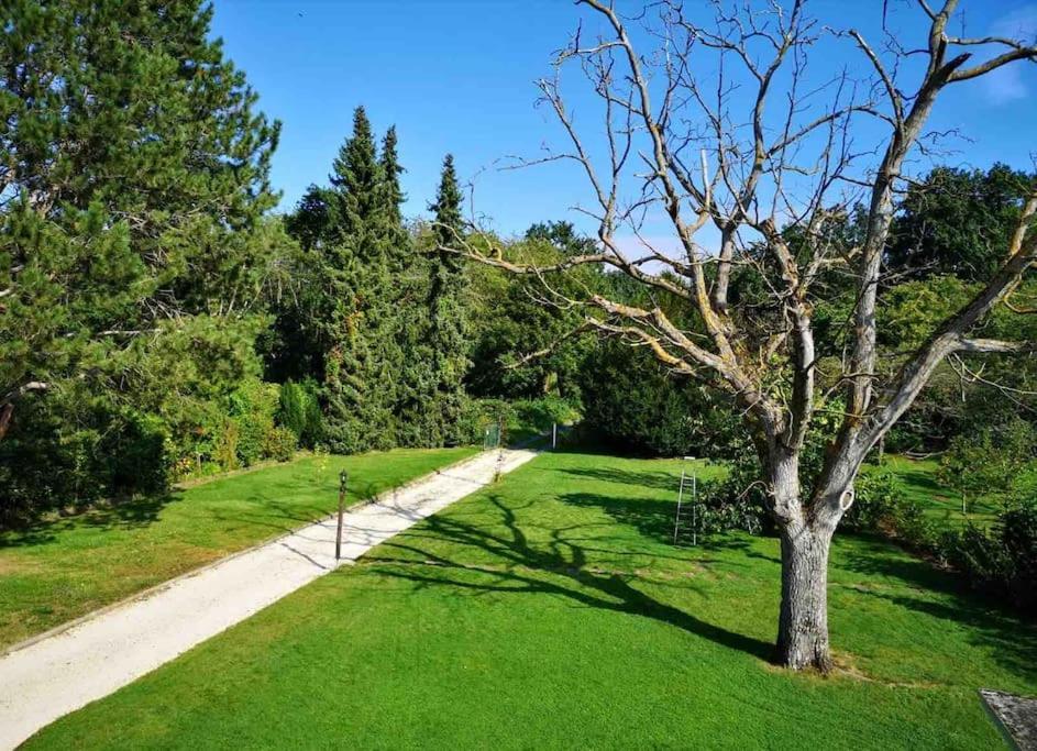 Ueber Den Daechern Von Koblenz - Aussichts-Wohnung Naturpark Rheinblick, Ruhig, Zentrumsnah, Sport-Pool Exterior foto
